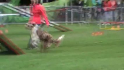 Given GPF 2013 10 06 Lapalisse