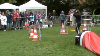 Athénais open 2013 10 06