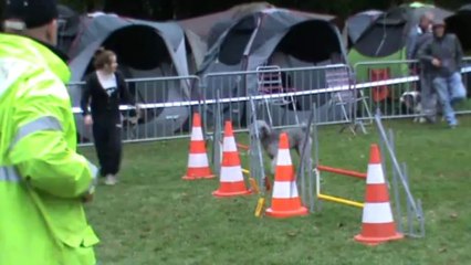 Athenais jumping 2013 10 06 La