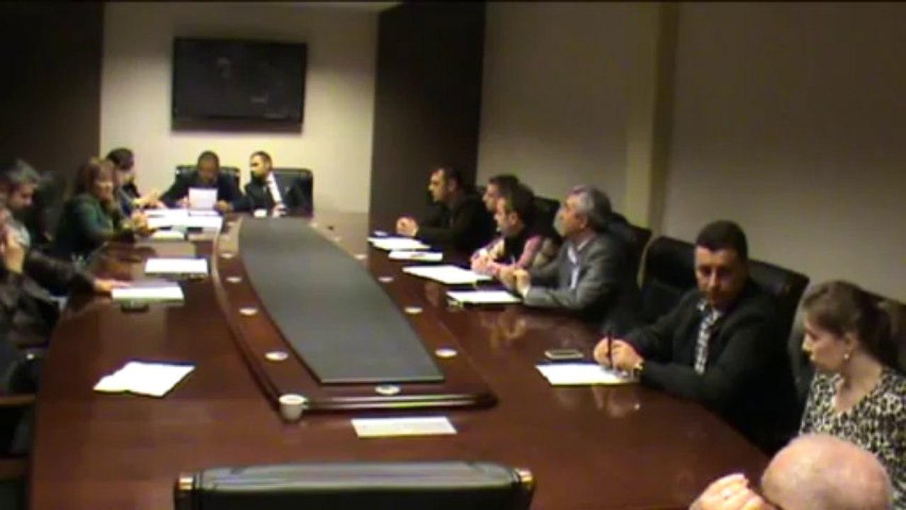 Sedinta extraordinara oct. 2013