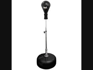 Everlast 2260 Freestanding Reflex Bag Review