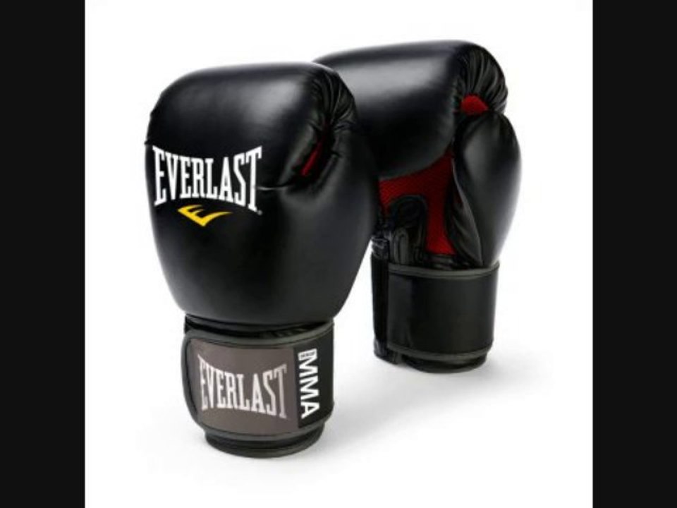 everlast muay thai