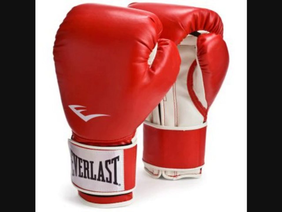 Everlast Pro Style Training Gloves Review