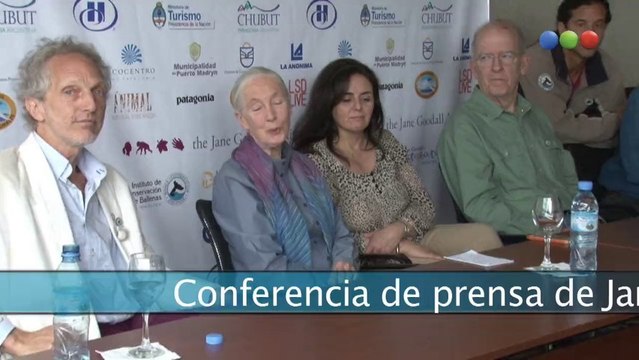 Jane y Payne hablando de Aliados