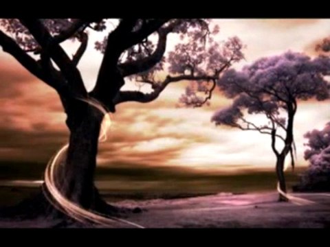 Eric Clapton - wonderful tonight - bg prevod