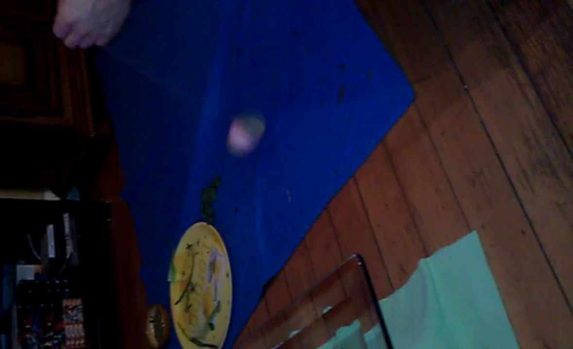 Dobie en mode folledingue