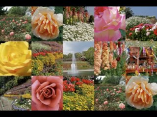 JEREMIAS  CAP 5  - A BIBLIA NA LINGUAGEM DE HOJE