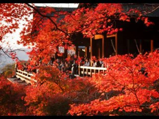 JEREMIAS  CAP 15  - A BIBLIA NA LINGUAGEM DE HOJE