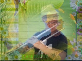 CANE NIKOLOVSKI ( flutist) - CRYING TIME