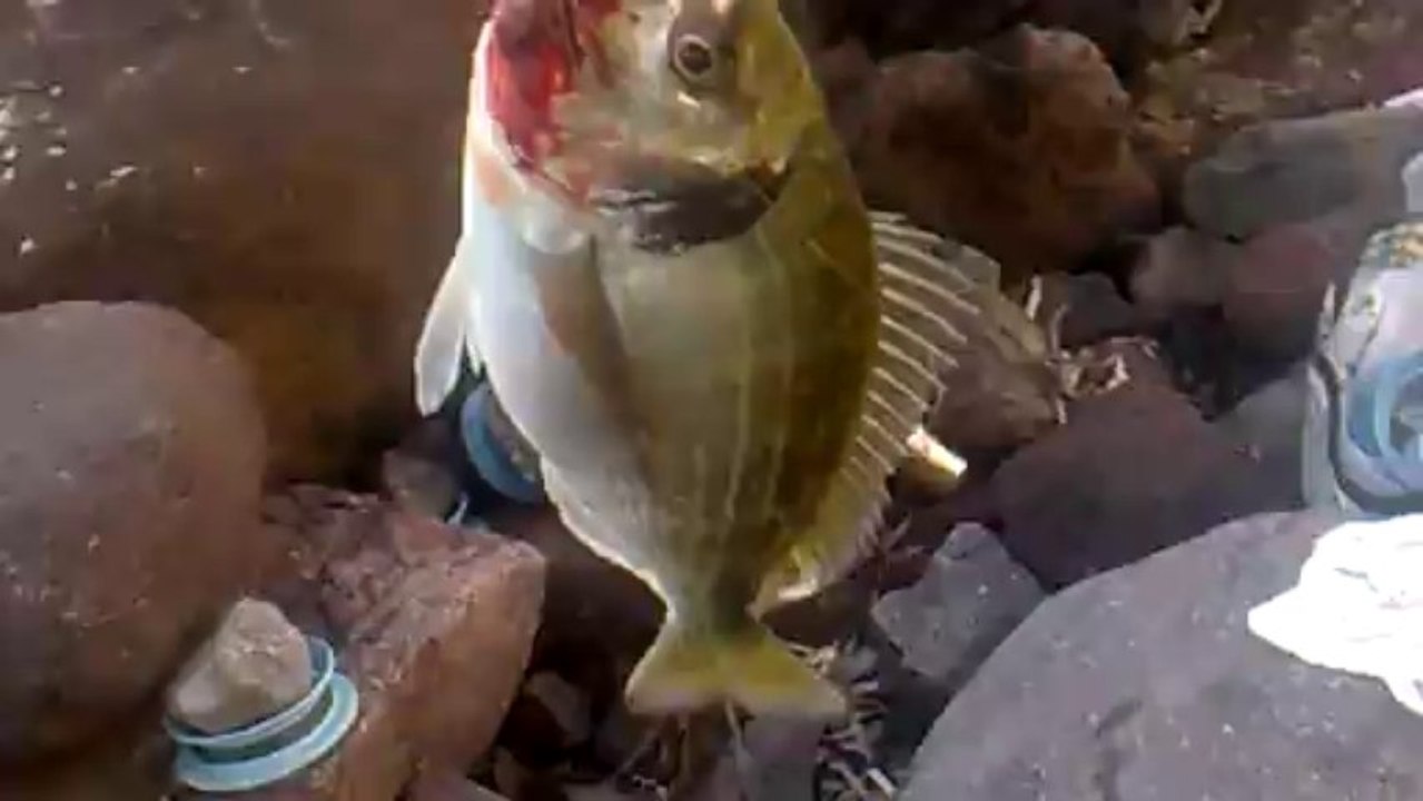 26102013002