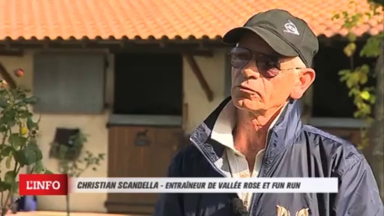 Christina SCANDELLA - VALLEE ROSE et FUN RUN pour le 3 novembre 2013 à Salon de Provence