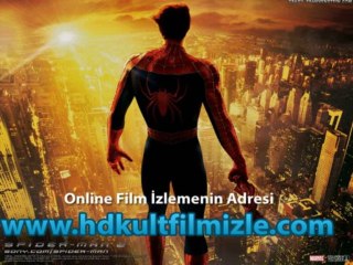 Hd Film izle Zoraki Kral