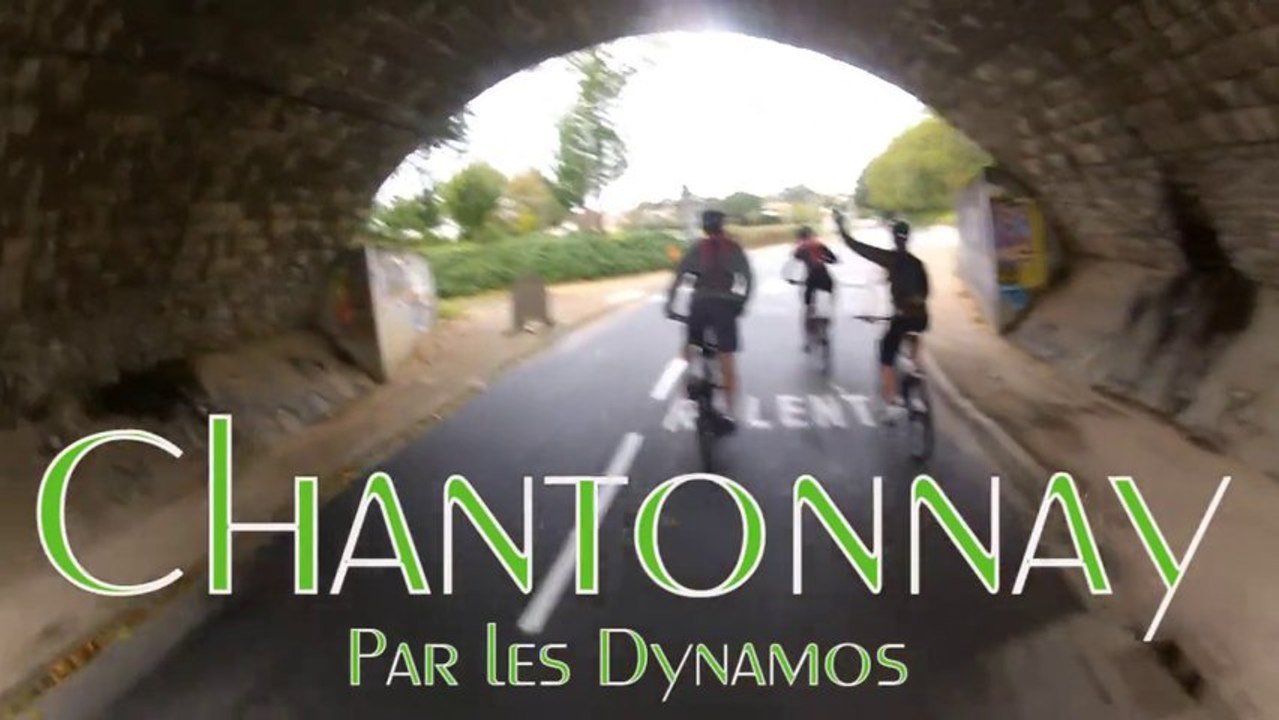Chantonnay 2013 - Les Dynamos