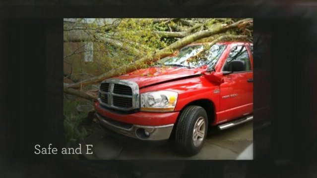 Tree Pruning Alpharetta GA | 404-Cut-Tree Call (678) 973-4317