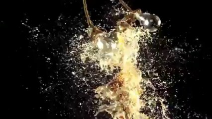 Will.i.am ft. Britney Spears- Scream & Sh__t (OFFICIAL VIDEO) [HD 1080p].mp4