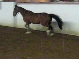 Prom-Prom pèpère =)