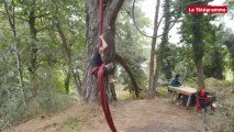 Plourivo (22). Des acrobates dans les arbres à la Maison de l'estuaire