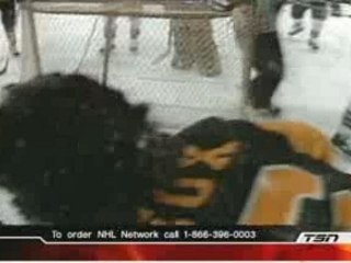 Mario Lemieux Fights