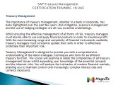 SAP TRM CERTIFICATION TRAINING& PLACEMENTS UAE@magnifictraining.com