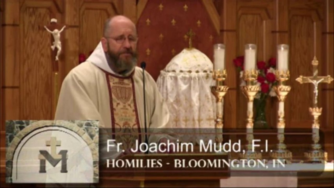 Oct 29 - Homily: Look to the Glory
