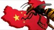 Asian Giant Hornet sting kills dozens in China