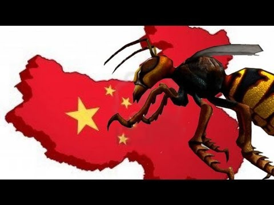 Asian Giant Hornet sting kills dozens in China
