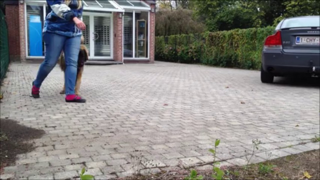 Laïka et Kory :)