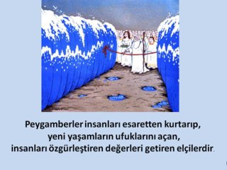 Peygamberlerin Özellikleri