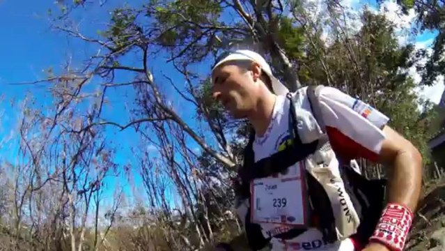 film diagonales des fous 2013