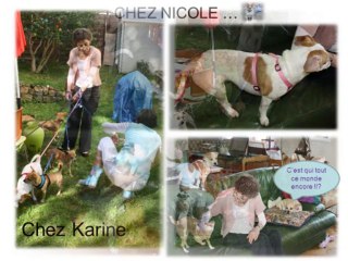 REPORTAGE SAUVETAGE ETATS-UNIS/ALERTE SOS 4 SEPT 2013