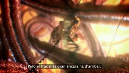 The hidden life of the Cell-català