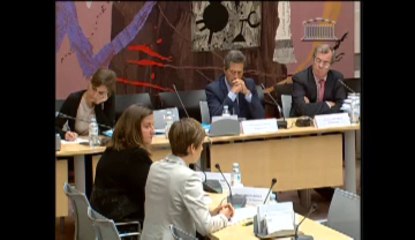 Mission d'information sur la révision des condamnations pénales