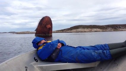 Sleeping Boater Is Awoken By Bumping Into Old Shipwreck