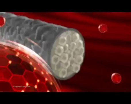 Aishwarya Rai Bachchan - L'Oreal Total Repair 5 - 2013