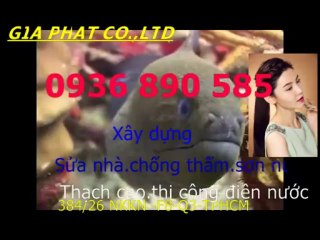 Tho chong tham dot nha o tai quan 5-HCM/// 0936 890585