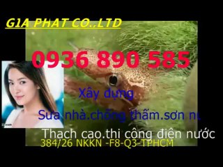 Tho chong tham dot nha o tai quan 2-HCM// 0907323053