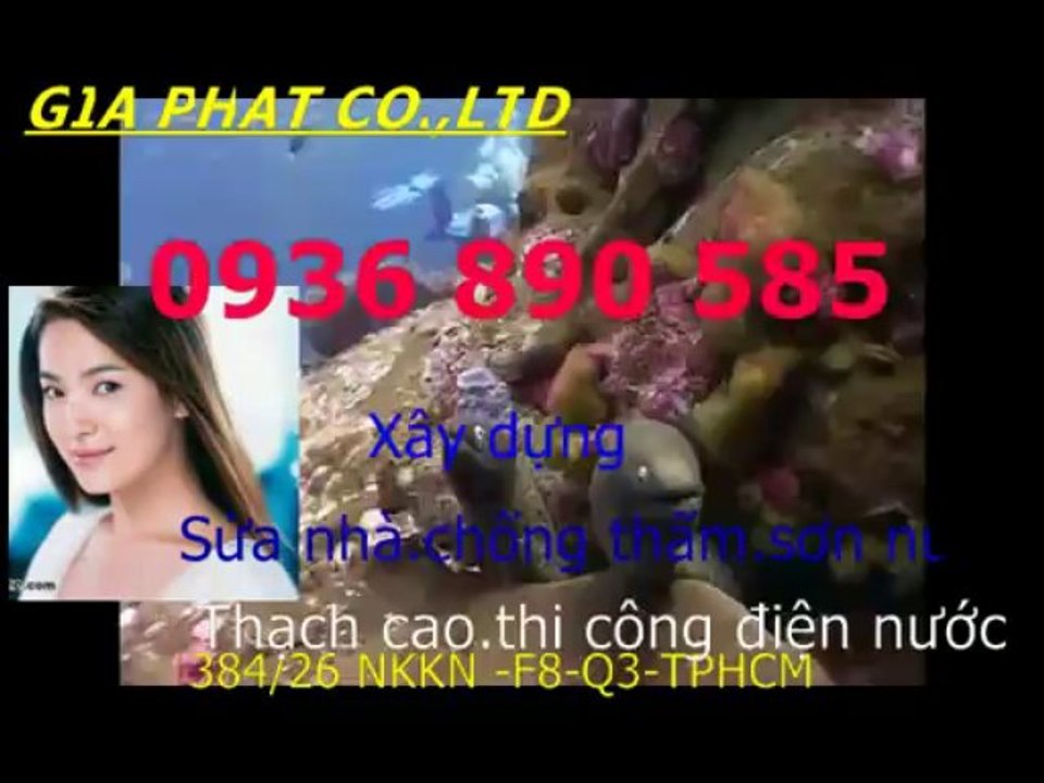 Tho chong tham dot nha o tai quan 3-HCM/ 0936 890585