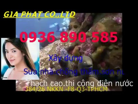 Tho chong tham dot nha o tai quan 3-HCM/ 0936 890585