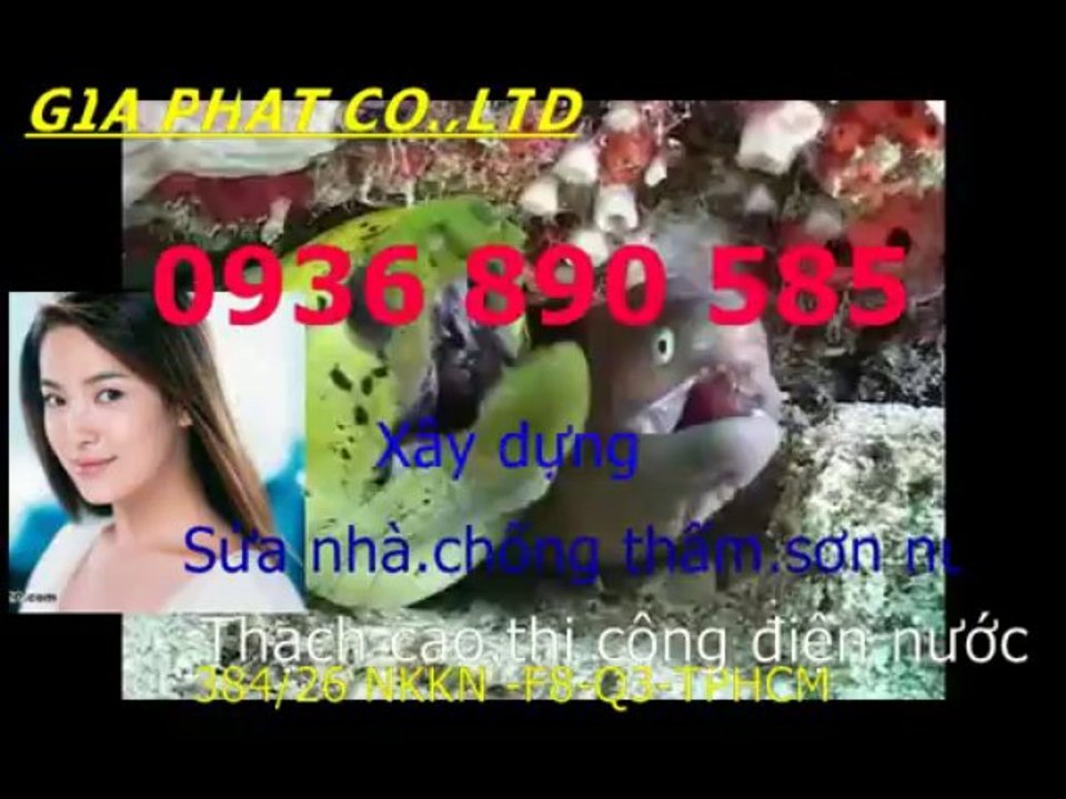 Tho chong tham dot nha o tai quan 3-HCM// 0907323053