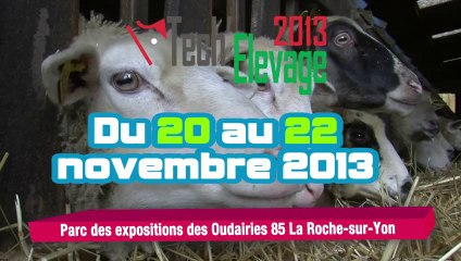 TECH'ELEVAGE - Allotement brebis