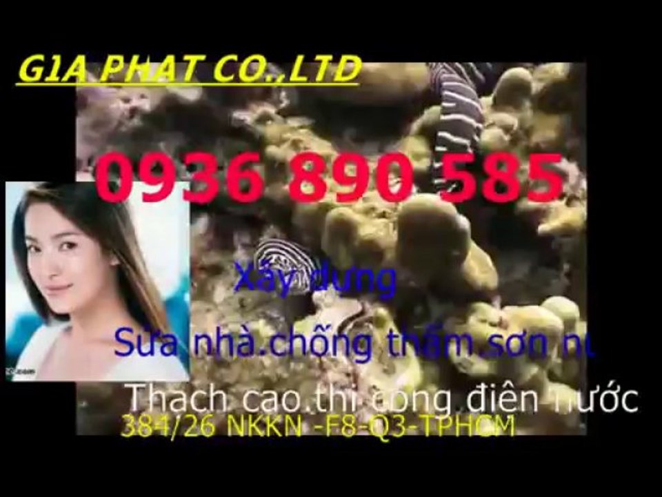 Tho chong tham dot nha o tai quan tan phu-HCM// 0907323053
