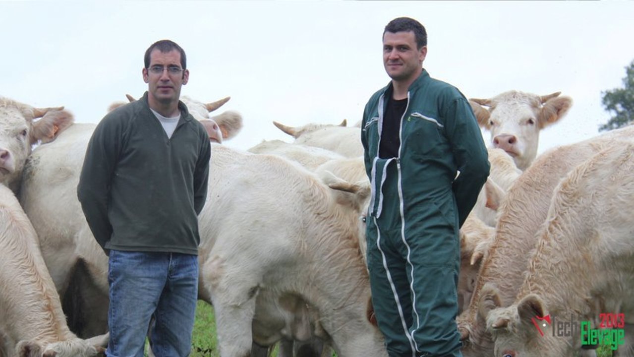TECH'ELEVAGE - Genomie bovine