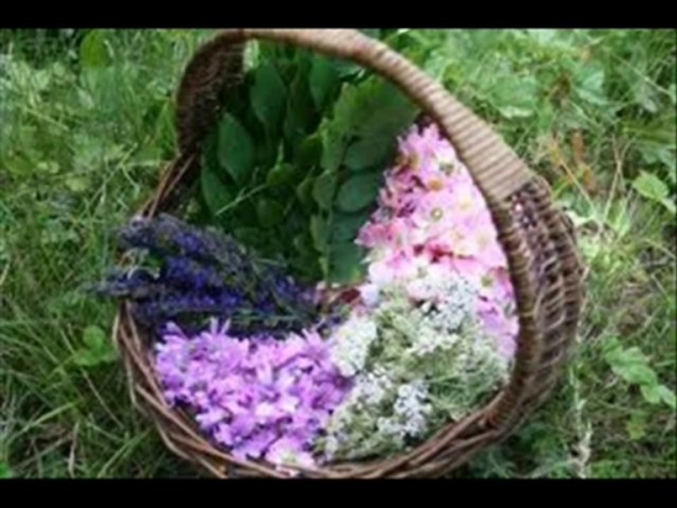 Chanson L' AMOUR EST UN BOUQUET DE VIOLETTES