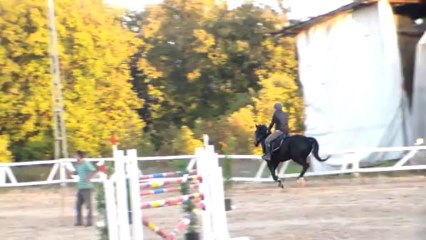 Mehmet Arda-Diktor-4sırık-3