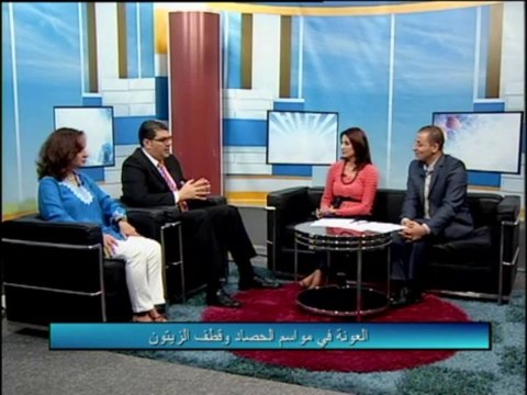 فلسطين هذا الصباح 29-10-2013 ج1