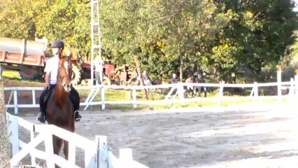 Poyraz Arda-Charisma2-110cm