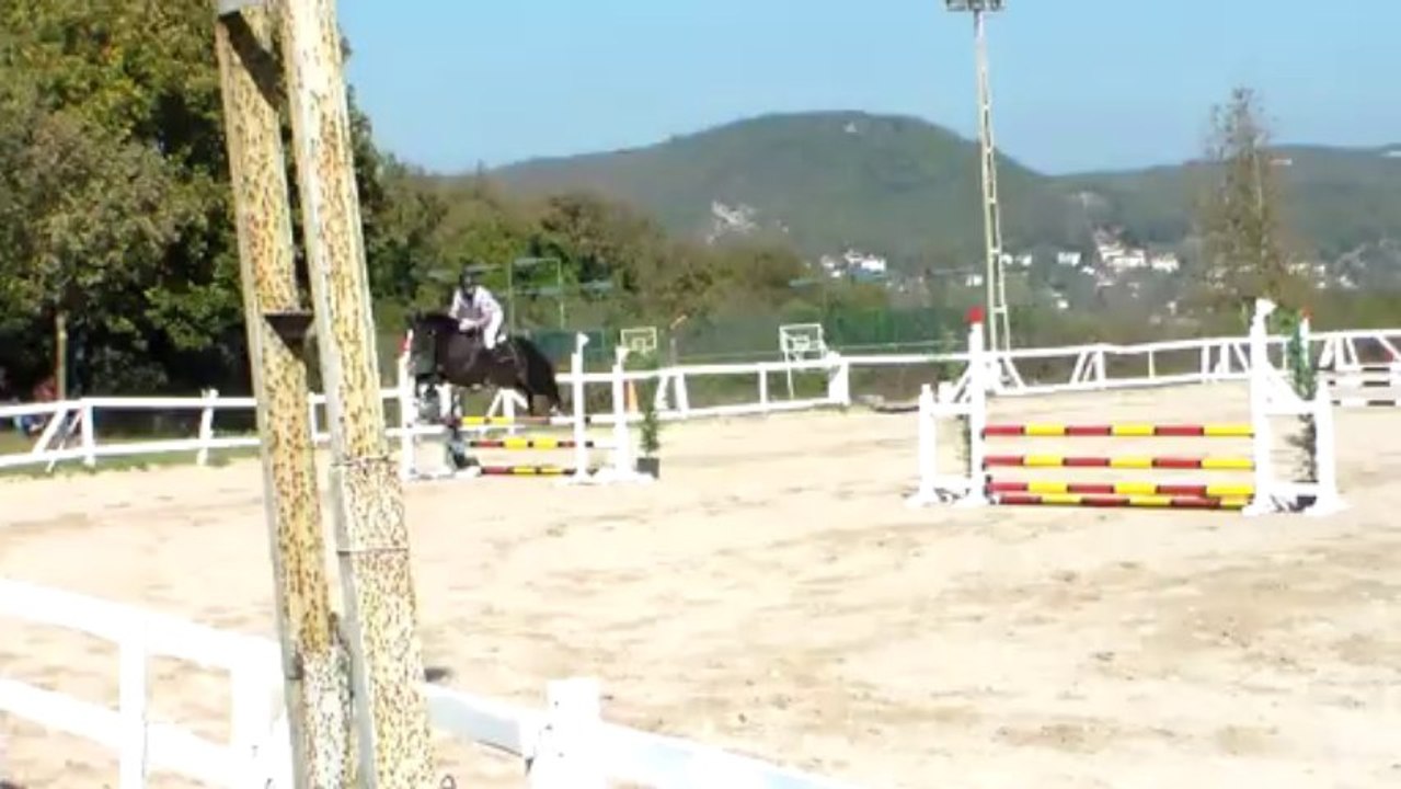 Sergen Altun-Tiamo-80cm