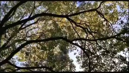 Freddy - Chapitre 7 - Freddy sort de la nuit ( bande annonce VOST )