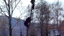 Un homme chassé par un ours