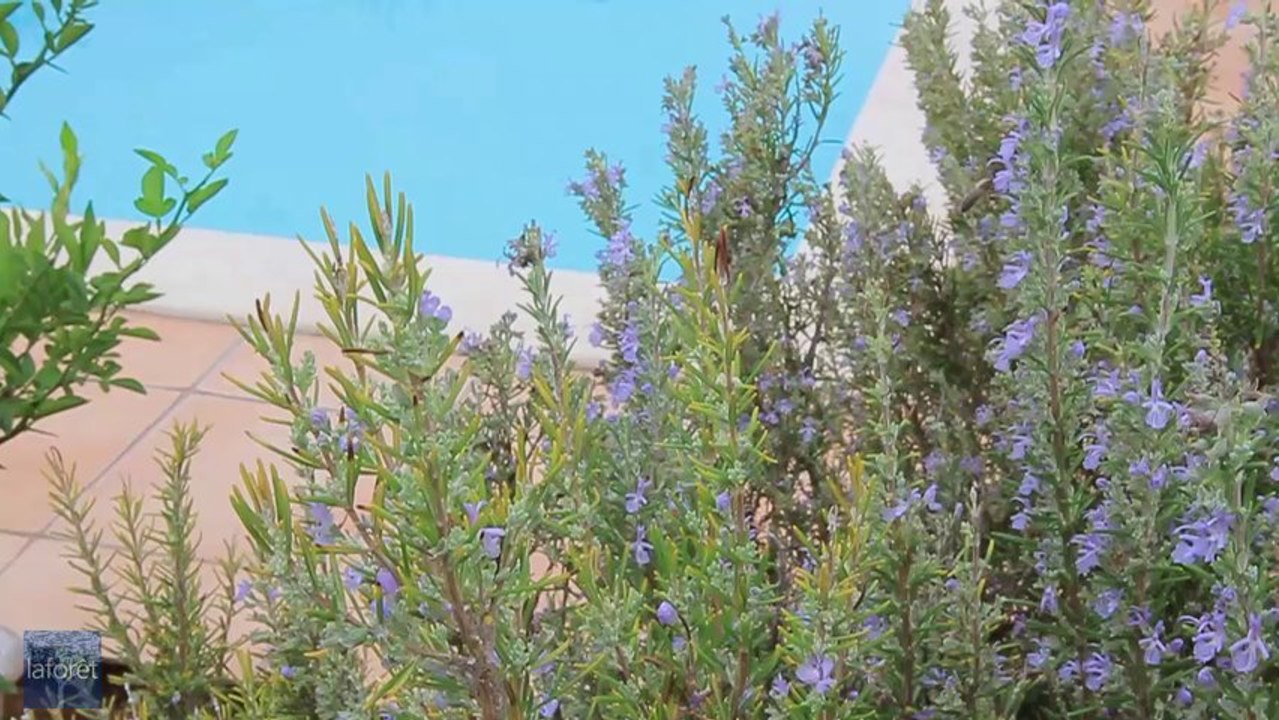 A vendre villa traditionnelle Le Luc en Provence